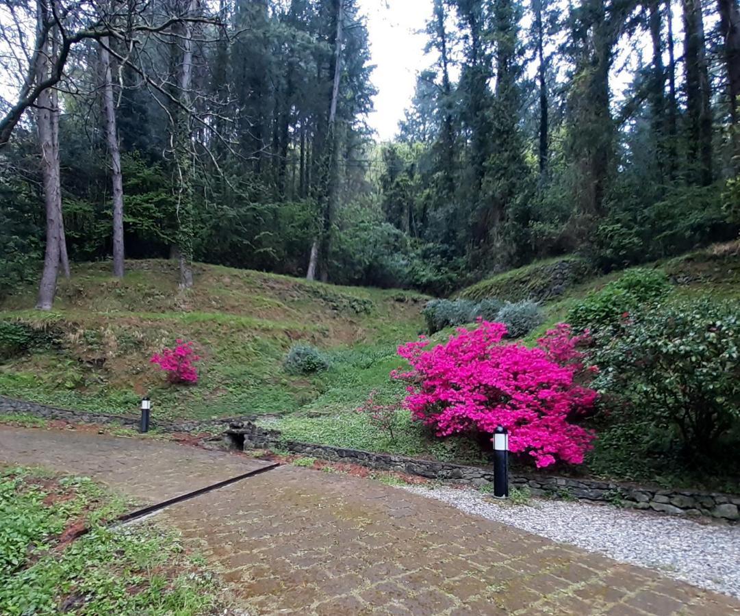 Il Bosco Di Campo Marzano Rooms & Apartments Borzonasca Exterior photo