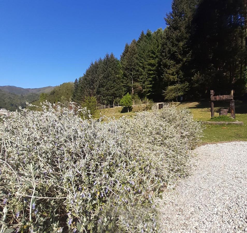 Il Bosco Di Campo Marzano Rooms & Apartments Borzonasca Exterior photo