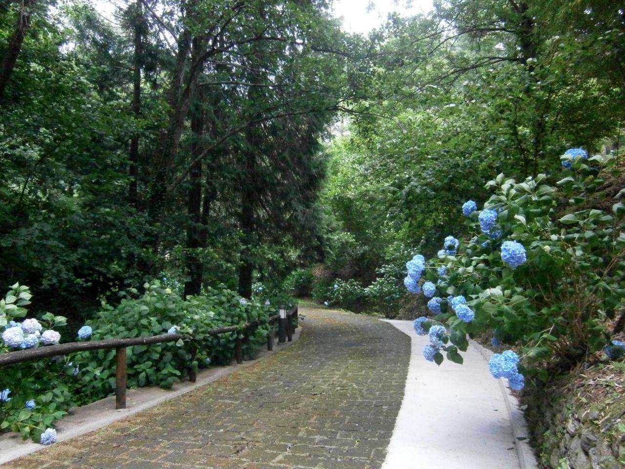 Il Bosco Di Campo Marzano Rooms & Apartments Borzonasca Exterior photo