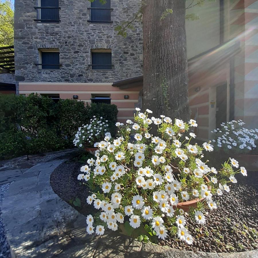 Il Bosco Di Campo Marzano Rooms & Apartments Borzonasca Exterior photo