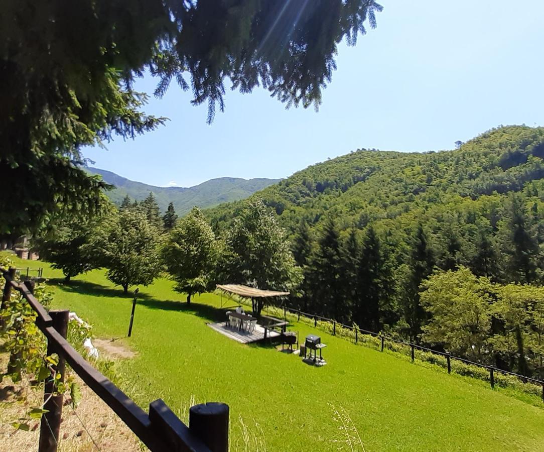 Il Bosco Di Campo Marzano Rooms & Apartments Borzonasca Exterior photo